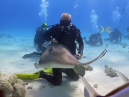 054 Steve at Stingray City IMG 5989